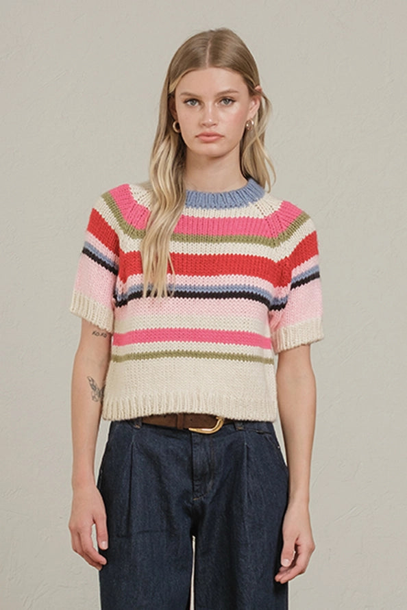 Kari Multi Color Chunky Knit Short Sleeve Sweater Top
