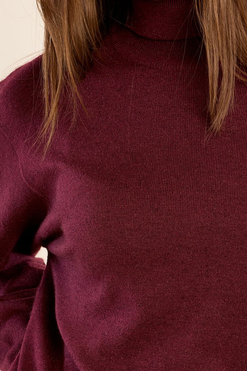 Erin Light Weight Knit Turtle Neck Sweater Top/Berry