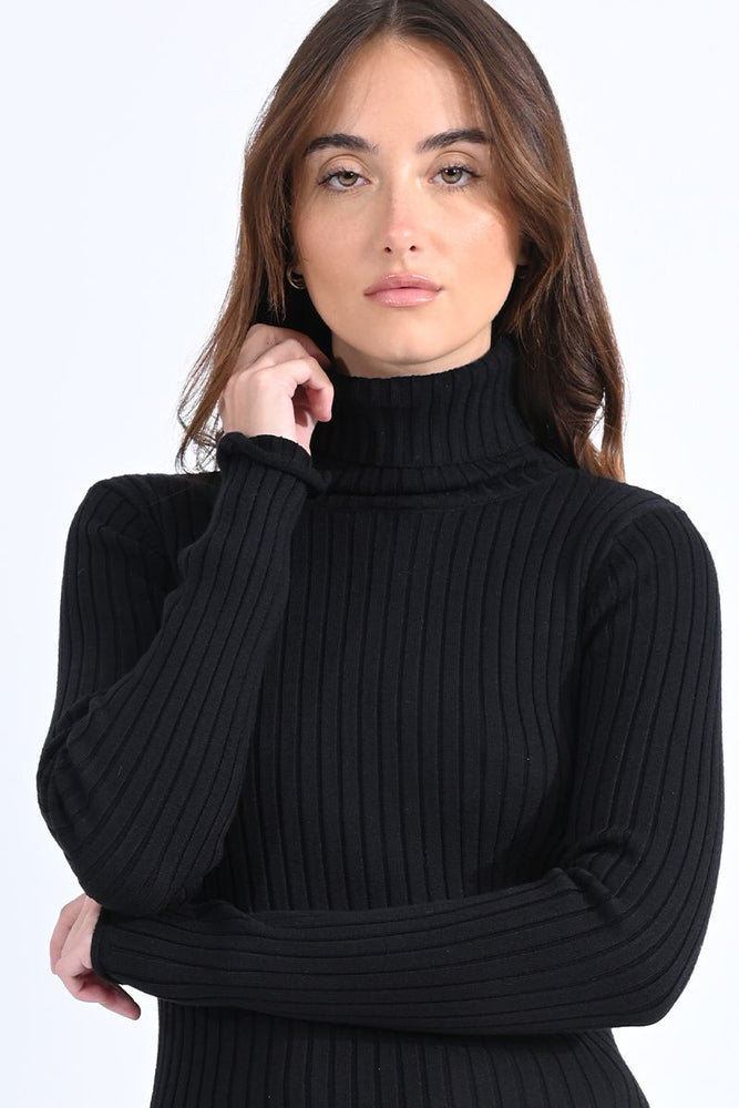 Ribbed Sweater Turtleneck