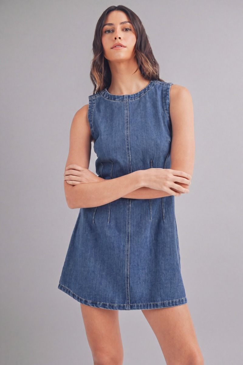 Charlie Denim Mini Dress