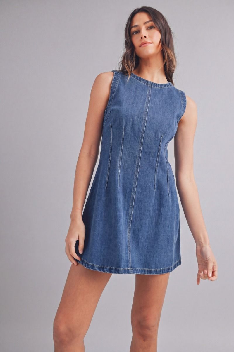 Charlie Denim Mini Dress