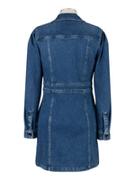 Priscilla Denim Dress